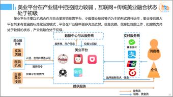 2016年中國(guó)互聯(lián)網(wǎng)本地服務(wù)競(jìng)爭(zhēng)格局研究報(bào)告